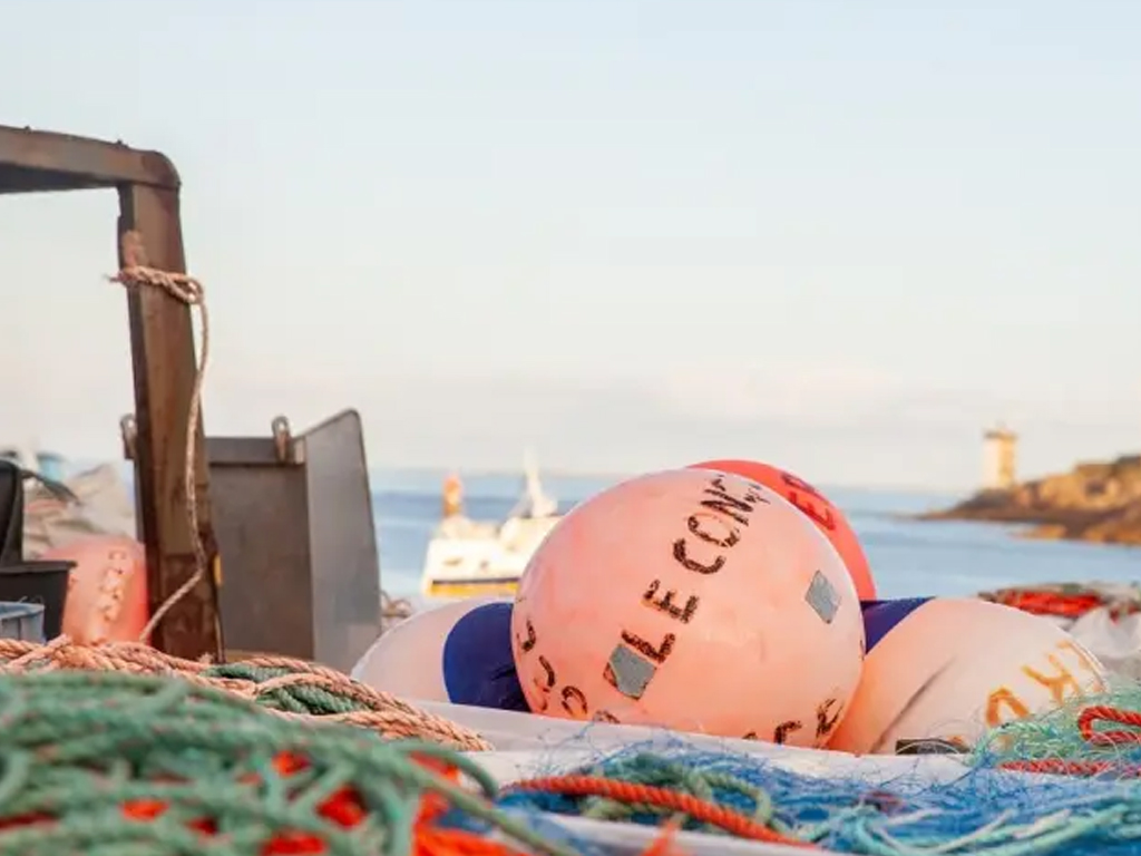 Histoire des Terre-Neuvas : à la vie, à la mer